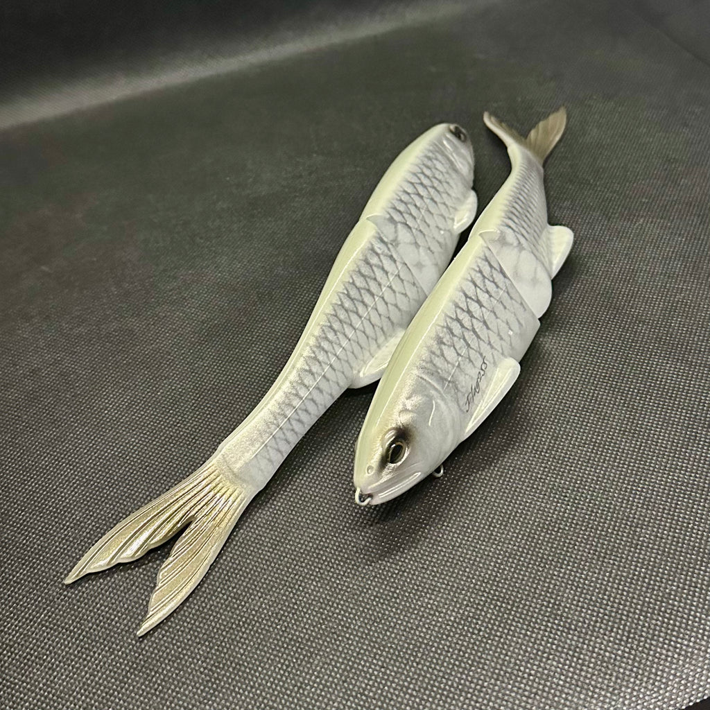 ASH_CARP_2_1024x.heic?v=1733314445 ASH_CARP_2_1024x.heic?v=1733314445